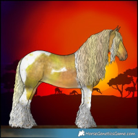 Horse Color:Chocolate Palomino Dun Tobiano 