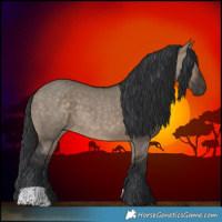 Horse Color:Brown Dun 