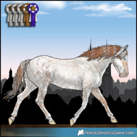 Horse Color:White Spotted Sable Champagne Roan Splash Near Leopard  and White Spotted Gold Champagne Roan Dun 