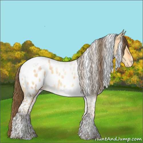 Horse Color:Amber Cream Champagne Dun Tobiano Appaloosa 