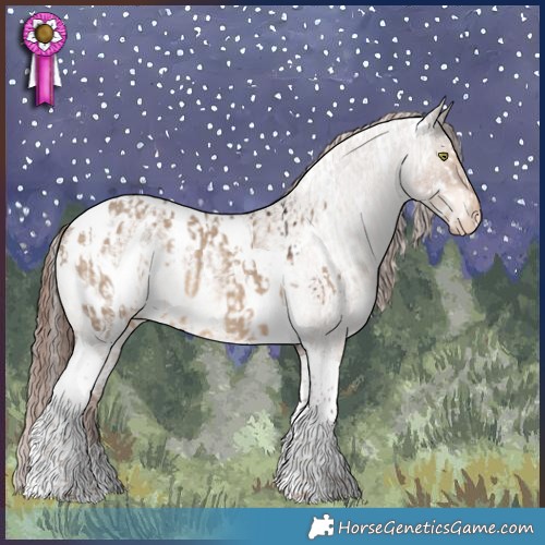 Horse Color:Bay Dun Tobiano Appaloosa  and Liver Red Dun Roan Tobiano Appaloosa 