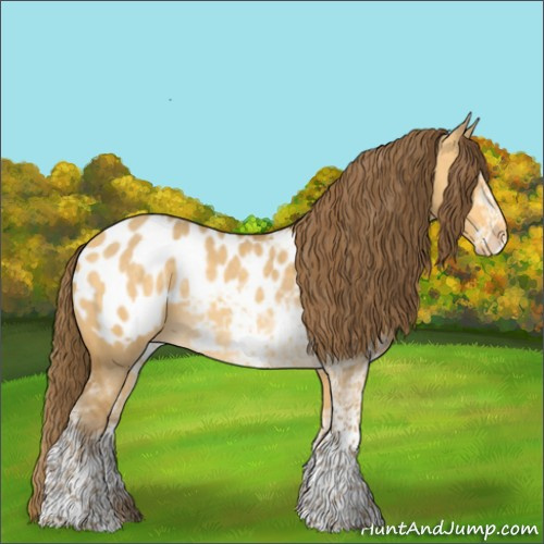 Horse Color:Amber Cream Champagne Dun Sabino Appaloosa 