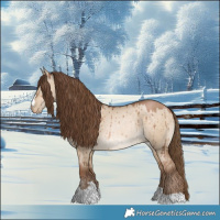Horse Color:Brown Pearl Dun Rabicano Brindle 