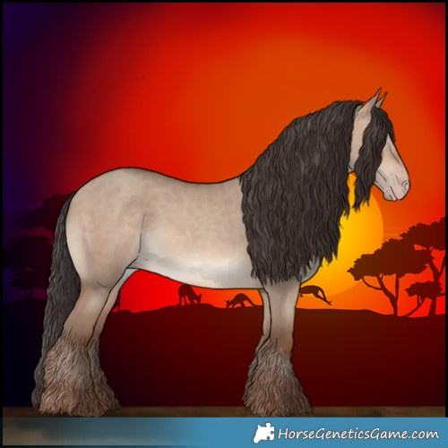 Horse Color:Sable Champagne Dun Rabicano 