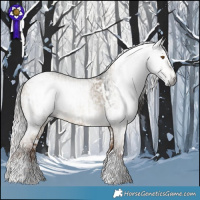 Horse Color:Gray White Spotted Buckskin Dun Tobiano  and Gray White Spotted Liver Red Dun Sabino 