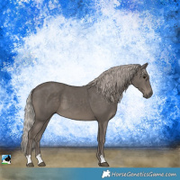 Horse Color:Silver Black 
