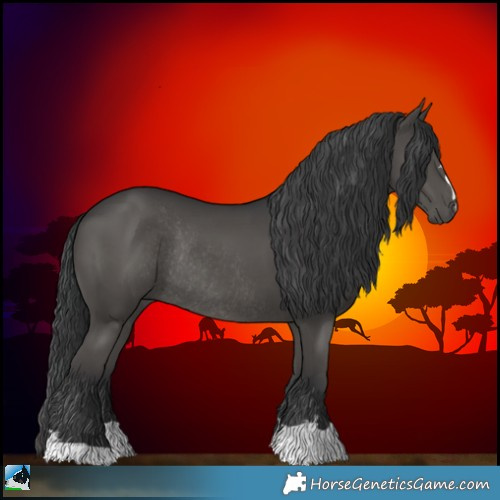 Horse Color:Black Rabicano 