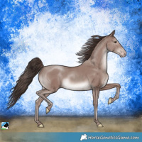 Horse Color:Classic Champagne Mushroom Rabicano 