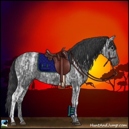 Horse Color:Black Ice Rabicano 