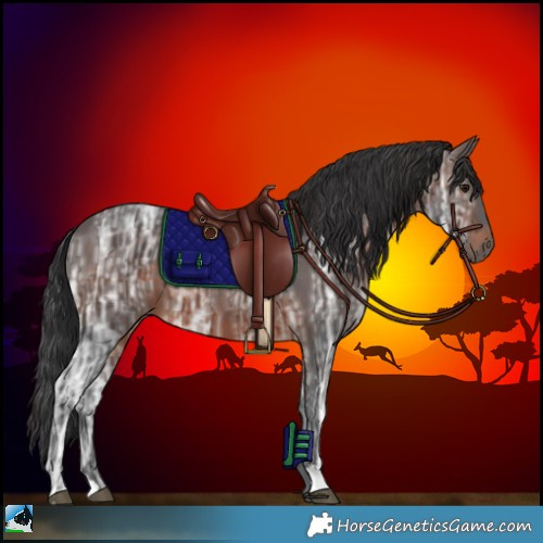 Horse Color:Brown Ice 