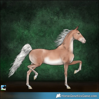 Horse Color:Gold Champagne Mushroom 