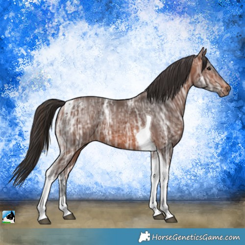 Horse Color:Bay Ice Tobiano Rabicano 