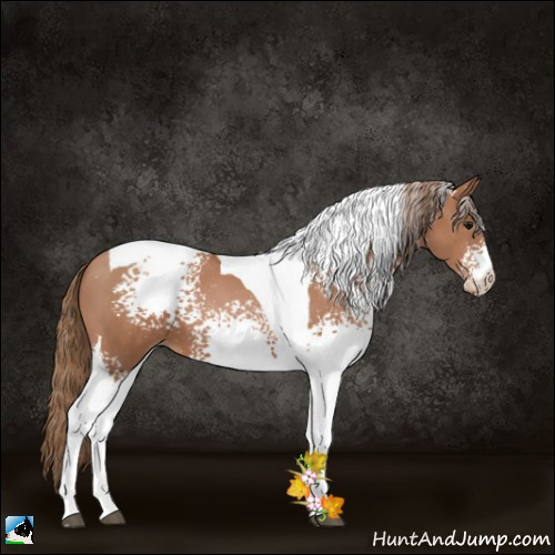 Horse Color:White Spotted Black Pearl Tobiano 