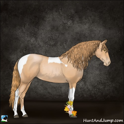 Horse Color:Chestnut Pearl Tobiano Rabicano