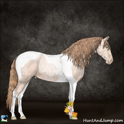 Horse Color:Gold Champagne Ice Roan Pearl Tobiano 