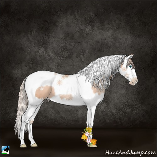 Horse Color:Gold Champagne Pearl Splash Tobiano 