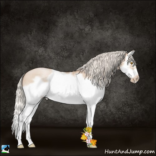 Horse Color:Silver Grullo Roan Pearl Splash Frame 