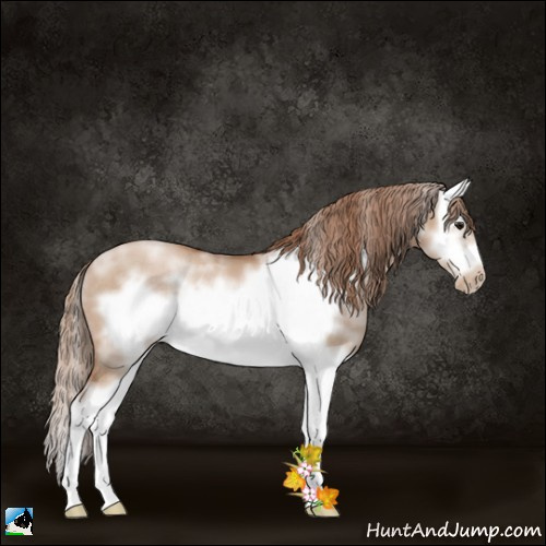 Horse Color:White Spotted Grullo Pearl Splash Frame Rabicano 