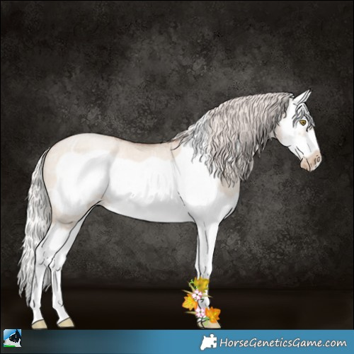 Horse Color:Silver Brown Ice Roan Pearl Dun Splash Frame