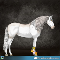 Horse Color:Silver Brown Ice Roan Pearl Dun Splash Frame 