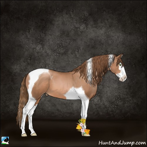 Horse Color:Liver Chestnut Pearl Splash Tobiano 