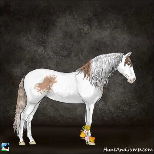Horse Color:White Spotted Black Pearl Splash Tobiano 
