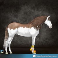 Horse Color:White Spotted Black Pearl Splash 