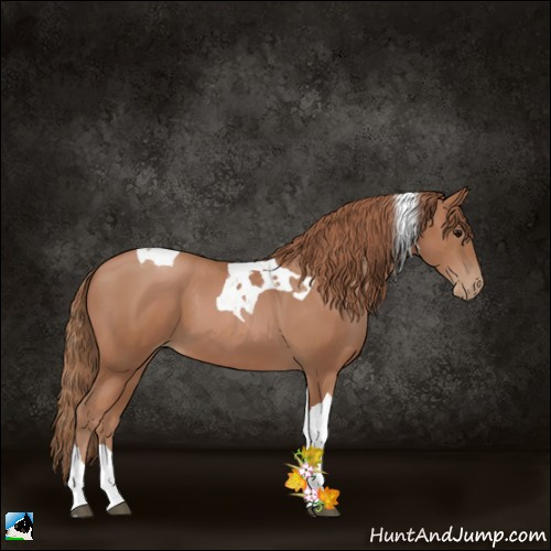 Horse Color:Black Pearl Tobiano 