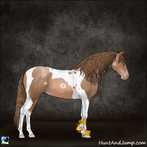 Horse Color:Liver Chestnut Pearl Tobiano 
