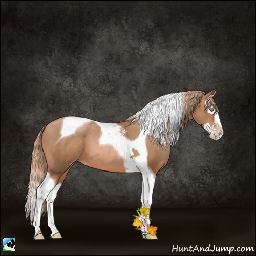 Horse Color:Liver Chestnut Pearl Splash Tobiano