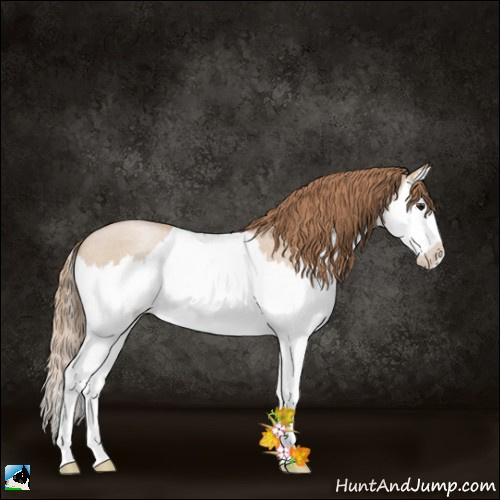 Horse Color:Grullo Roan Pearl Splash 