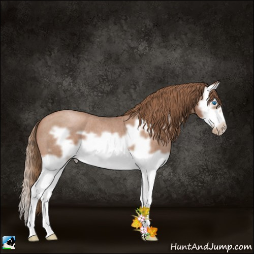 Horse Color:Blue Roan Pearl Splash Frame 