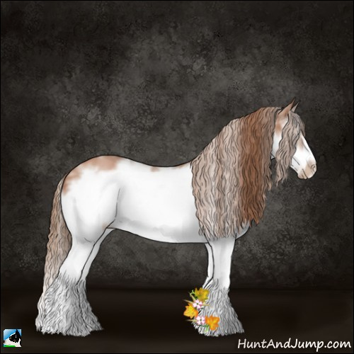 Horse Color:White Spotted Black Pearl Splash Frame 