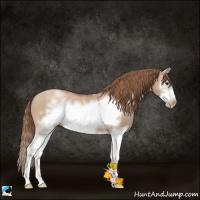 Horse Color:White Spotted Grullo Pearl Splash Frame 