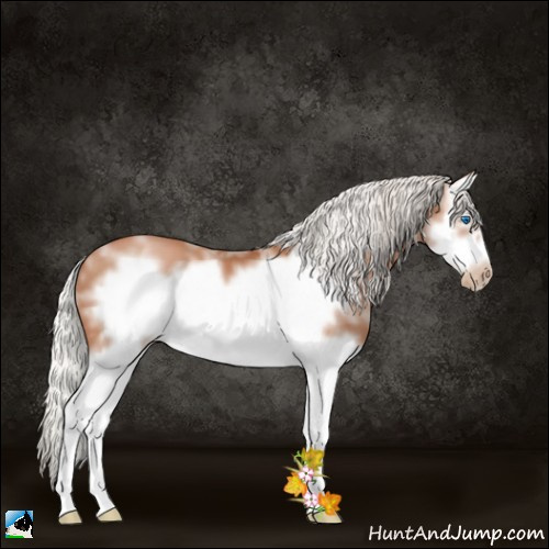 Horse Color:White Spotted Silver Black Pearl Splash Frame