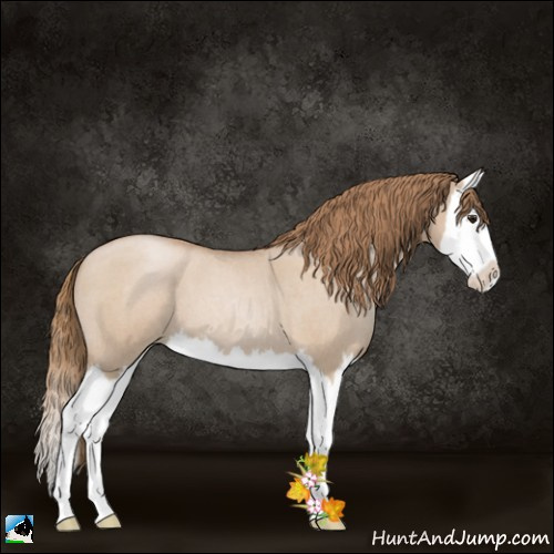 Horse Color:Grullo Roan Pearl Splash