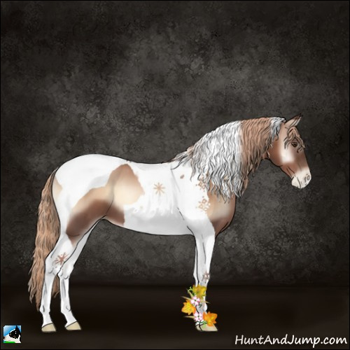 Horse Color:Liver Red Onyx Pearl Tobiano 