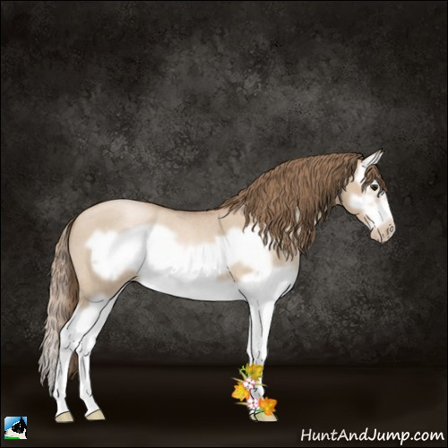 Horse Color:Grullo Roan Pearl Splash Frame