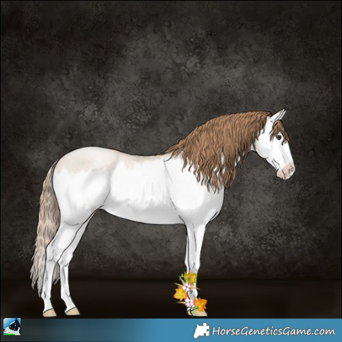 Horse Color:White Spotted Grullo Roan Pearl Splash