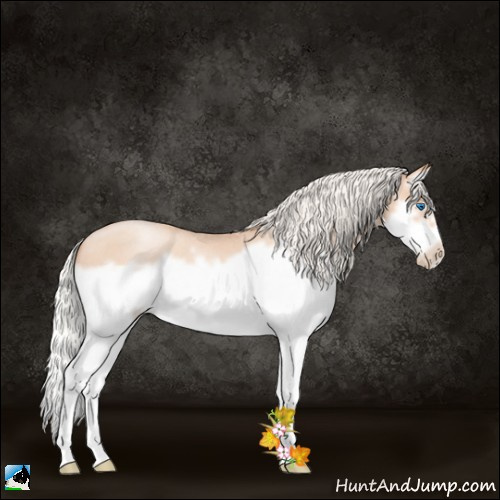 Horse Color:Silver Classic Champagne Roan Pearl Splash Frame 