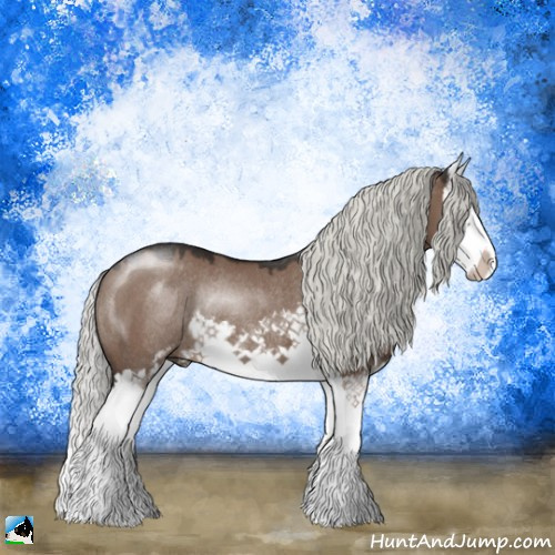Horse Color:Liver Red Dun Mushroom Sabino Splash Rabicano 