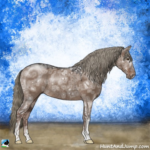 Horse Color:Liver Red Dun Ice Mushroom Sabino Rabicano 