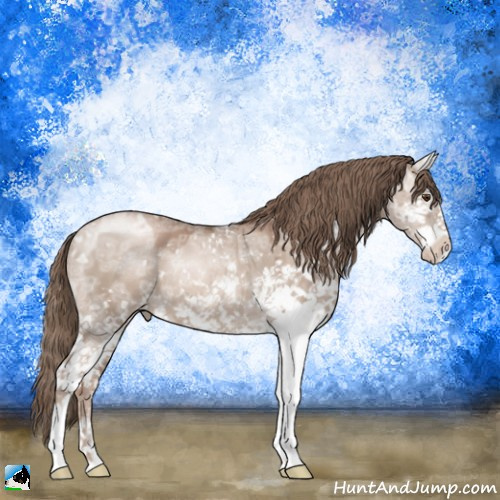 Horse Color:Grullo Ice Pearl Mushroom Sabino Rabicano 