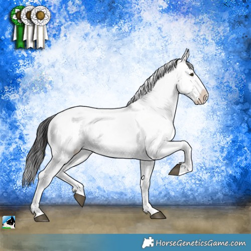 Horse Color:Brown Dun Mushroom Sabino Brindle 