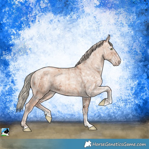 Horse Color:Gold Champagne Ice Dun Mushroom Sabino Brindle