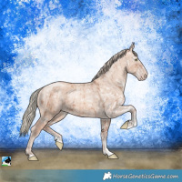 Horse Color:Gold Champagne Ice Dun Mushroom Sabino Brindle
