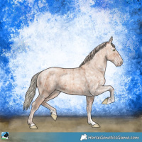 Horse Color:Gold Champagne Ice Dun Mushroom Sabino Brindle