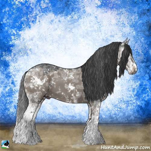 Horse Color:Grullo Ice Mushroom Sabino 
