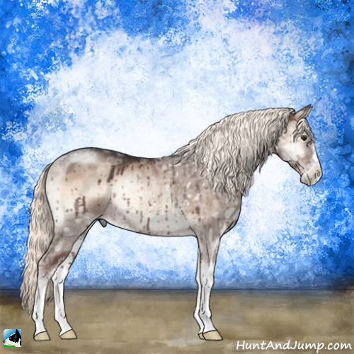 Horse Color:Liver Red Dun Ice Onyx Mushroom Sabino Rabicano Brindle 