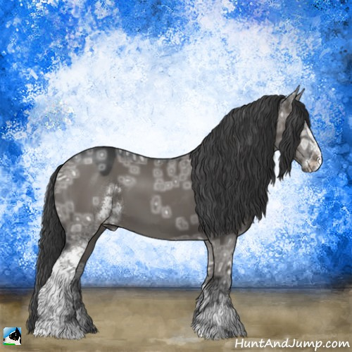 Horse Color:Grullo Ice Mushroom Sabino 